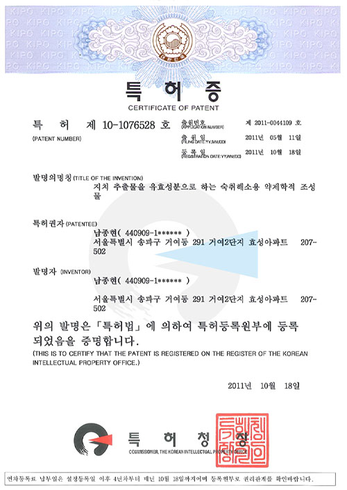대표특허내역