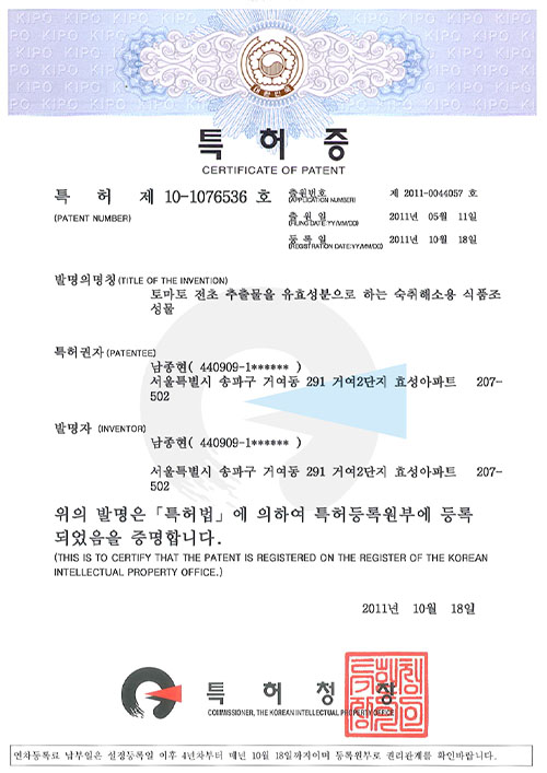대표특허내역