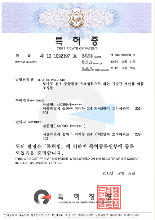 대표특허내역
