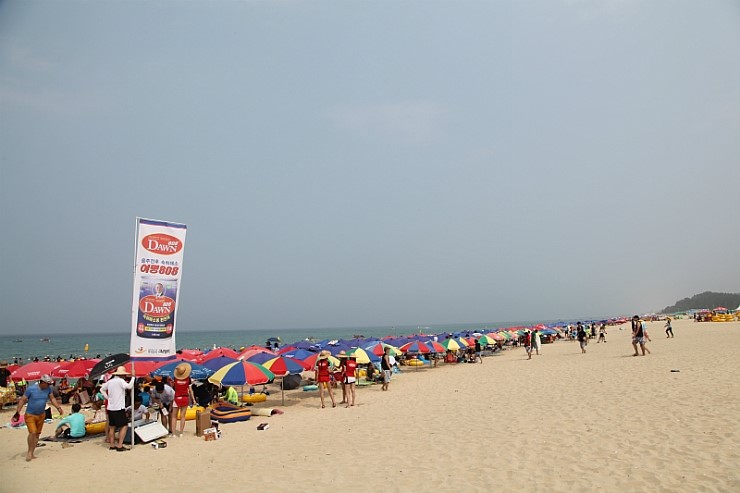 2016년 동해 복싱대회